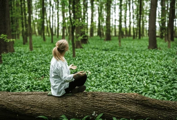 2026 01 30 13 11 53 86 Tausend Waldbaden lizenzfreie Bilder Stockfotos und Aufnahmen Shutterstock